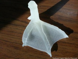 3d-printed-duck-foot-02-492x0_q85_crop-smart